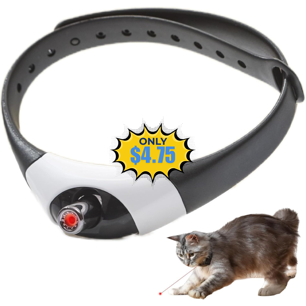 Interactive Cat Toys Laser Collar Deal: Save 50% at Amazon