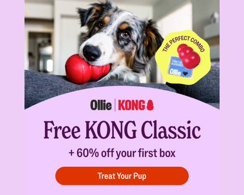 Ollie 60% Off + Free Kong Classic Toy Promo