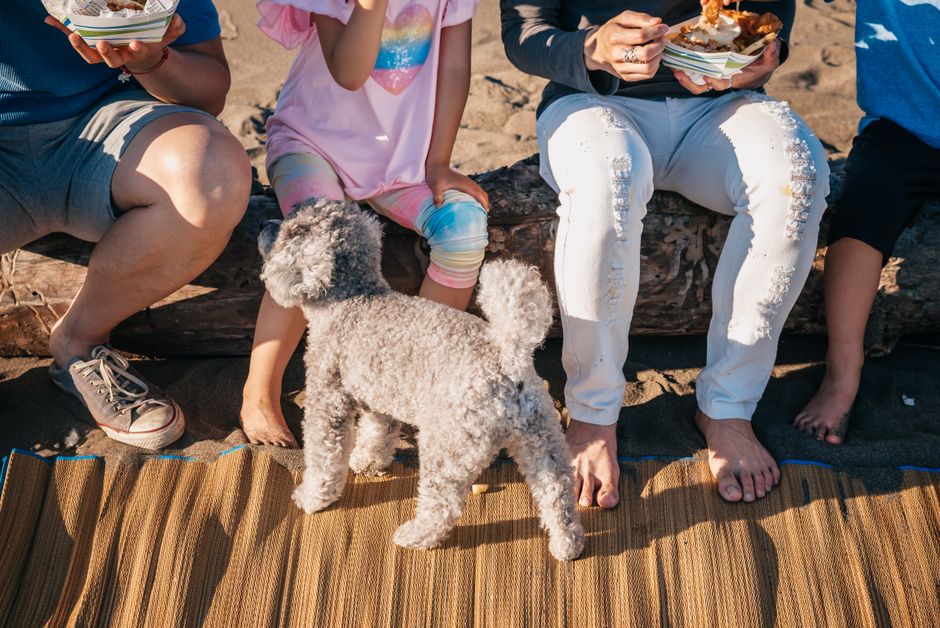 Dog Food Mat Only $9.98 at Amazon