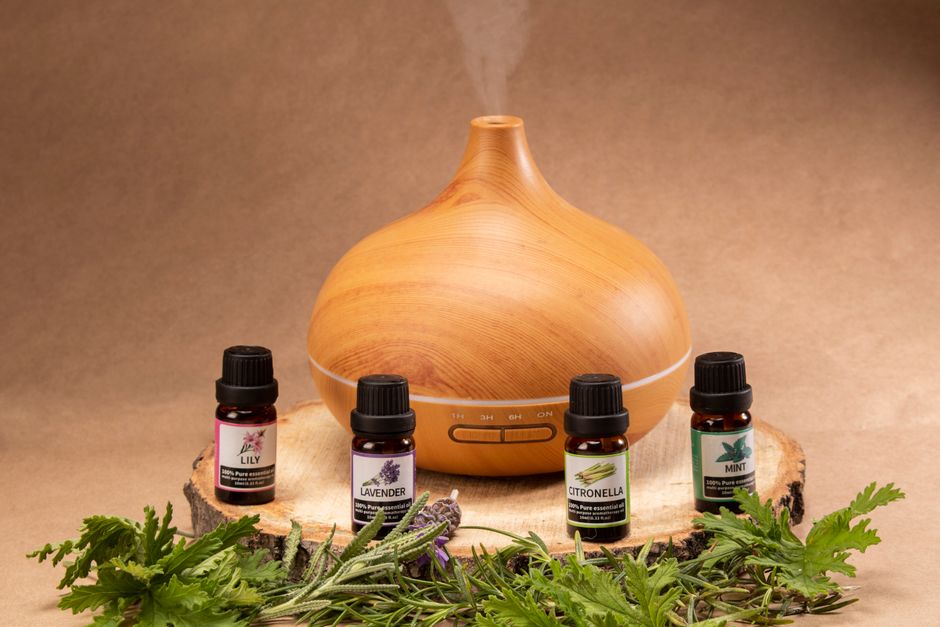 Fragrance Diffuser & Oils Set