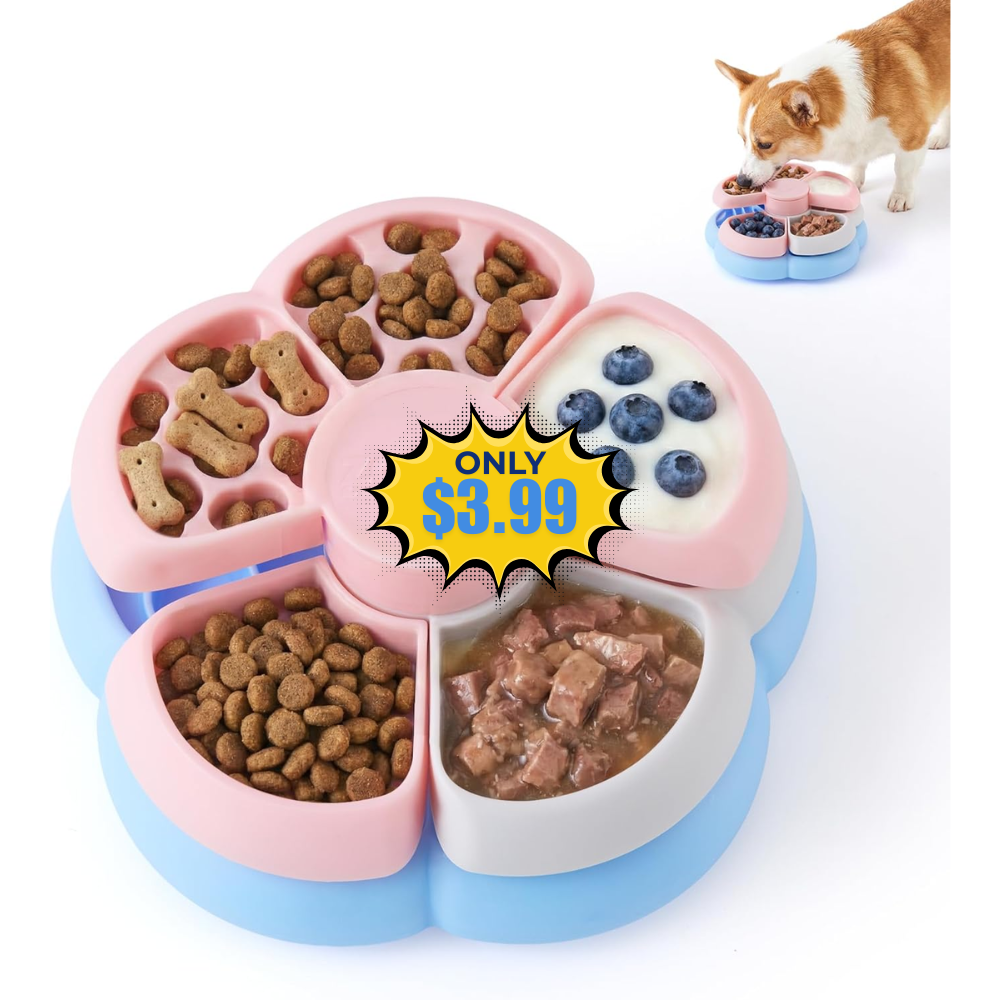 Slow Feeder Dog Bowl 3 Levels Deal: Save 50% at Amazon