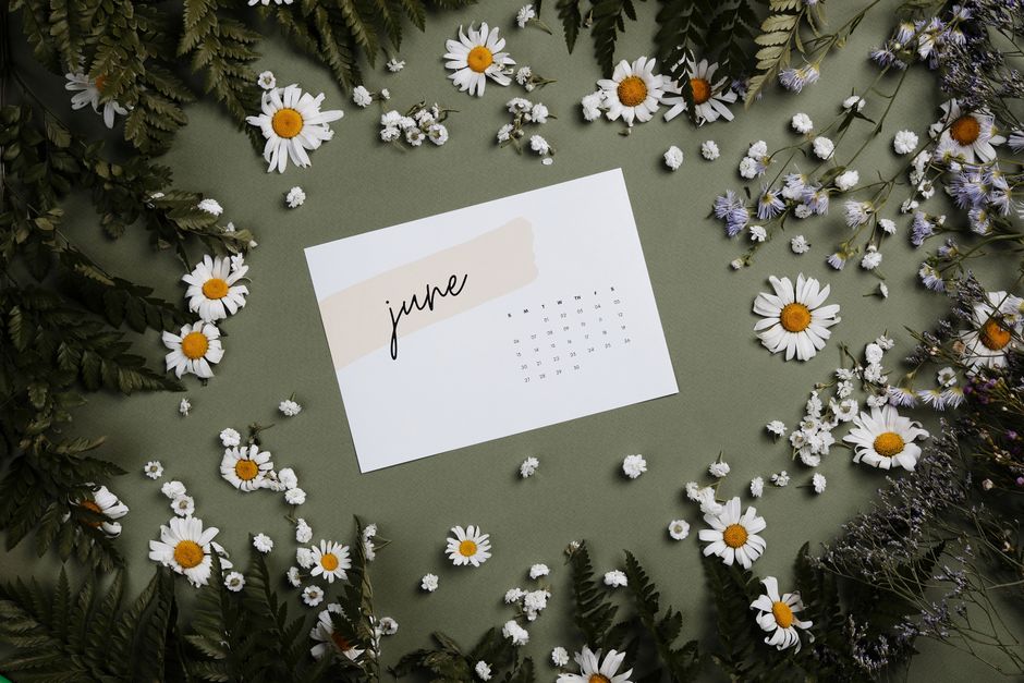 First Day of Summer Freebies & Deals: June 21