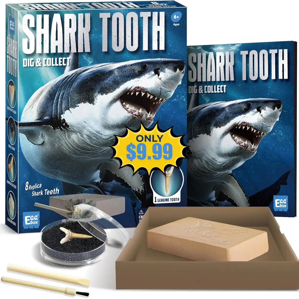 EGGBOX Shark Tooth Dig Kit Deal: Save 20% on Amazon