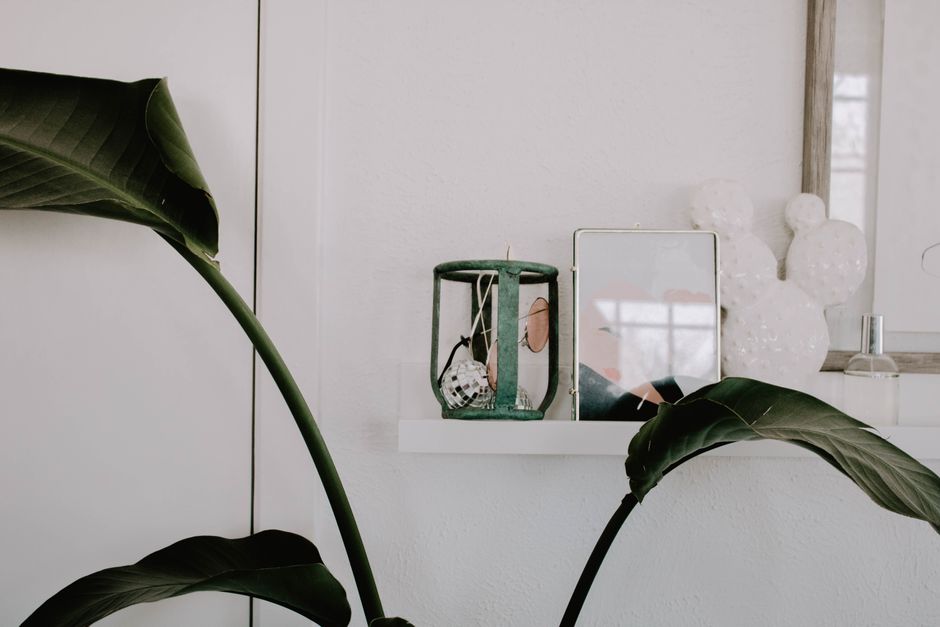 OVER 50% Off the Cutest Kohl’s Home Decor Line – Today ONLY!
