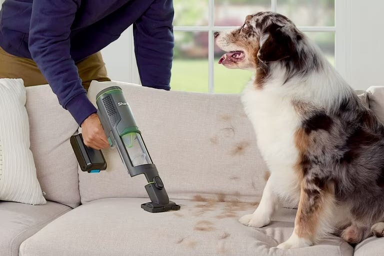 Save Only $99 at QVC