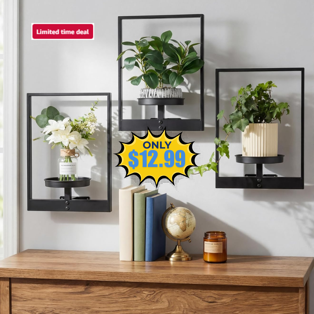 3 Pack Picture Frame Wall Plant Holder Deal: Save 50% at Amazon