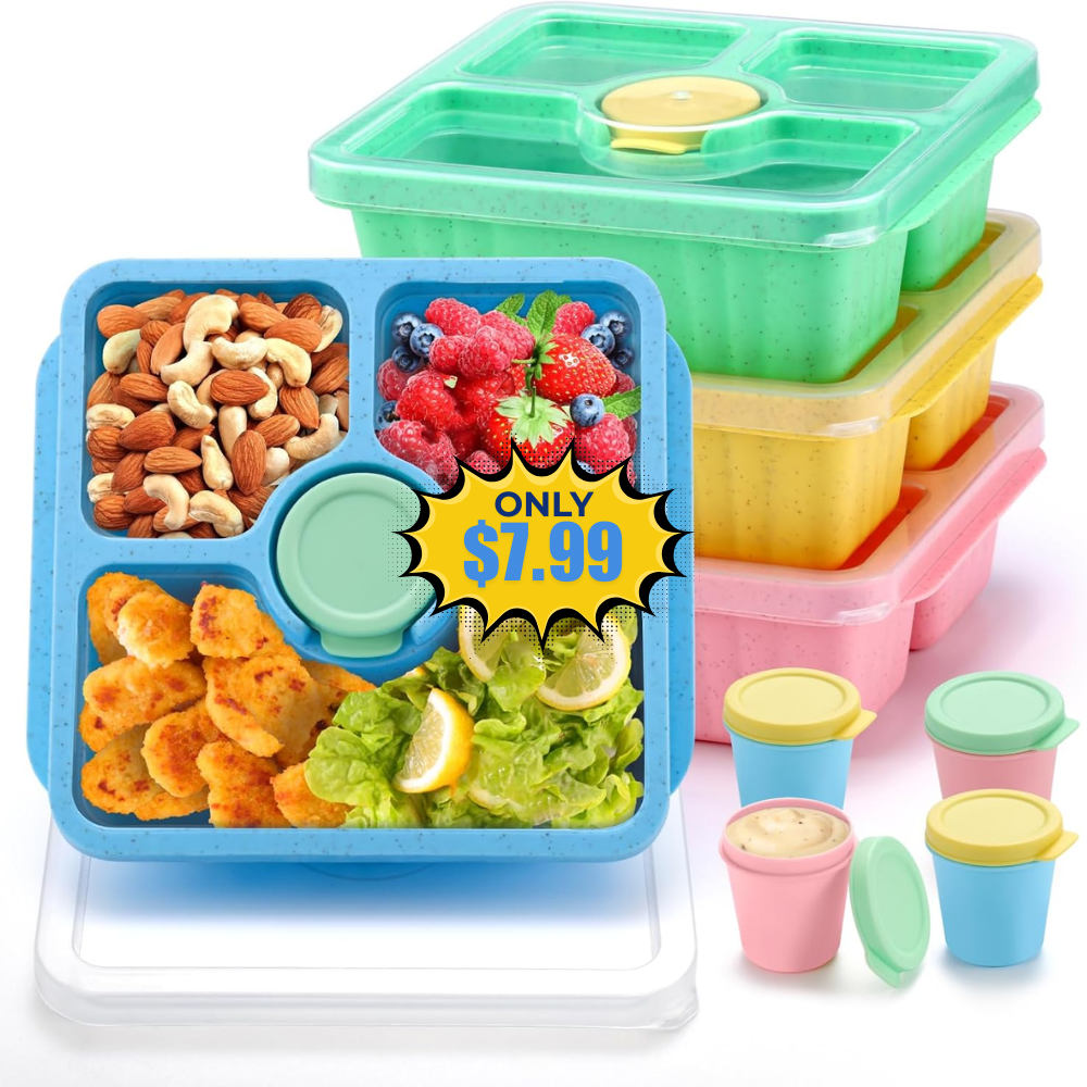 QQKO Bento Snack Box, 4 Pack Deal: Save 53% at Amazon