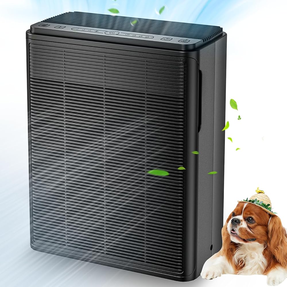 Air Purifier for Home with HEPA Filter at Amazon