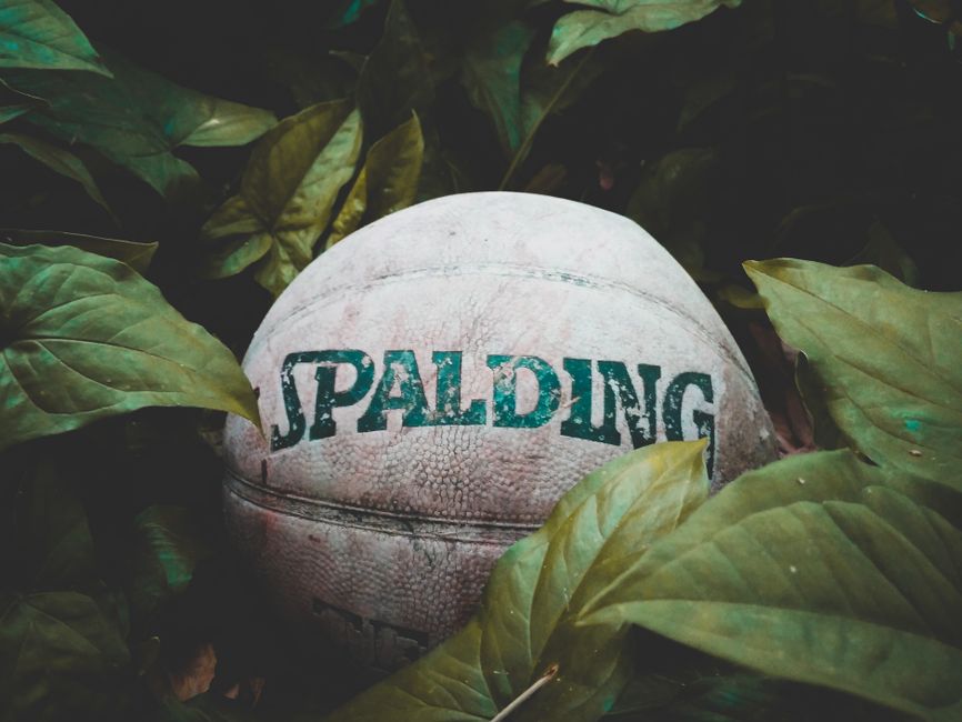 Spalding Kids Socks 30-Pack Only $10 (Reg. $18) at Walmart