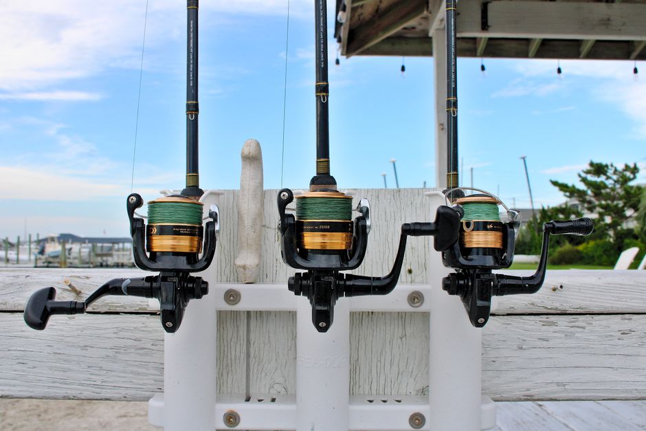 Daiwa Laguna LT Reel Just $27.5 Shipped Free at Dickssportinggoods