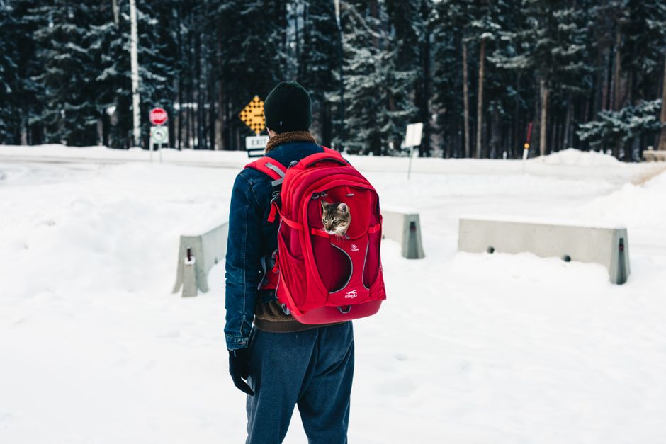 SwissGear TravelSmart Backpack Only $30 (Reg. $60) at Home