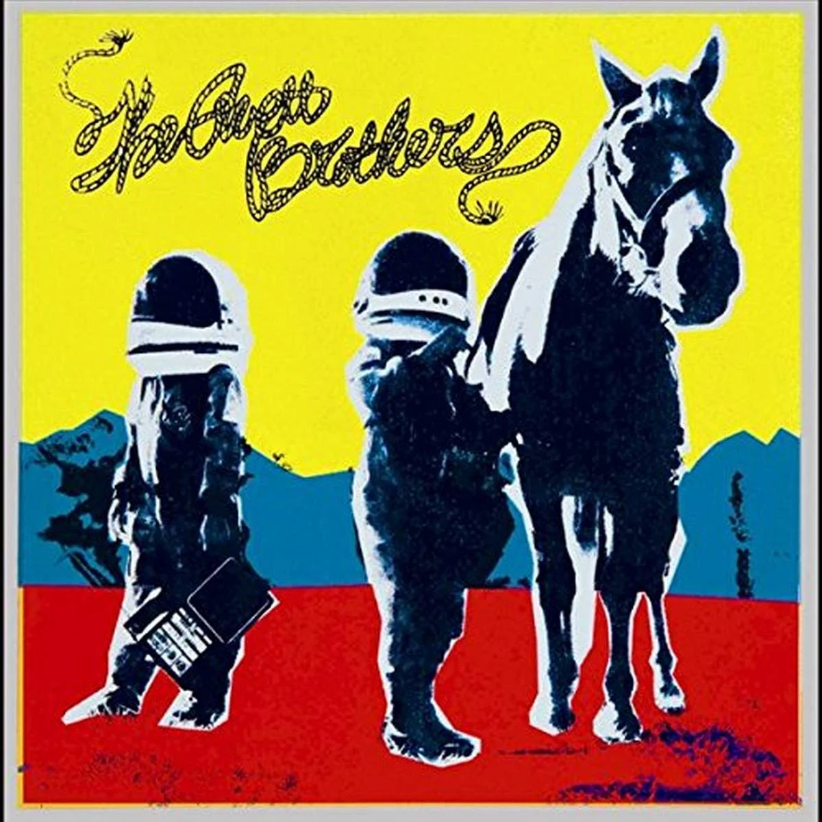 The Avett Brothers True Sadness vinyl record cover on Amazon