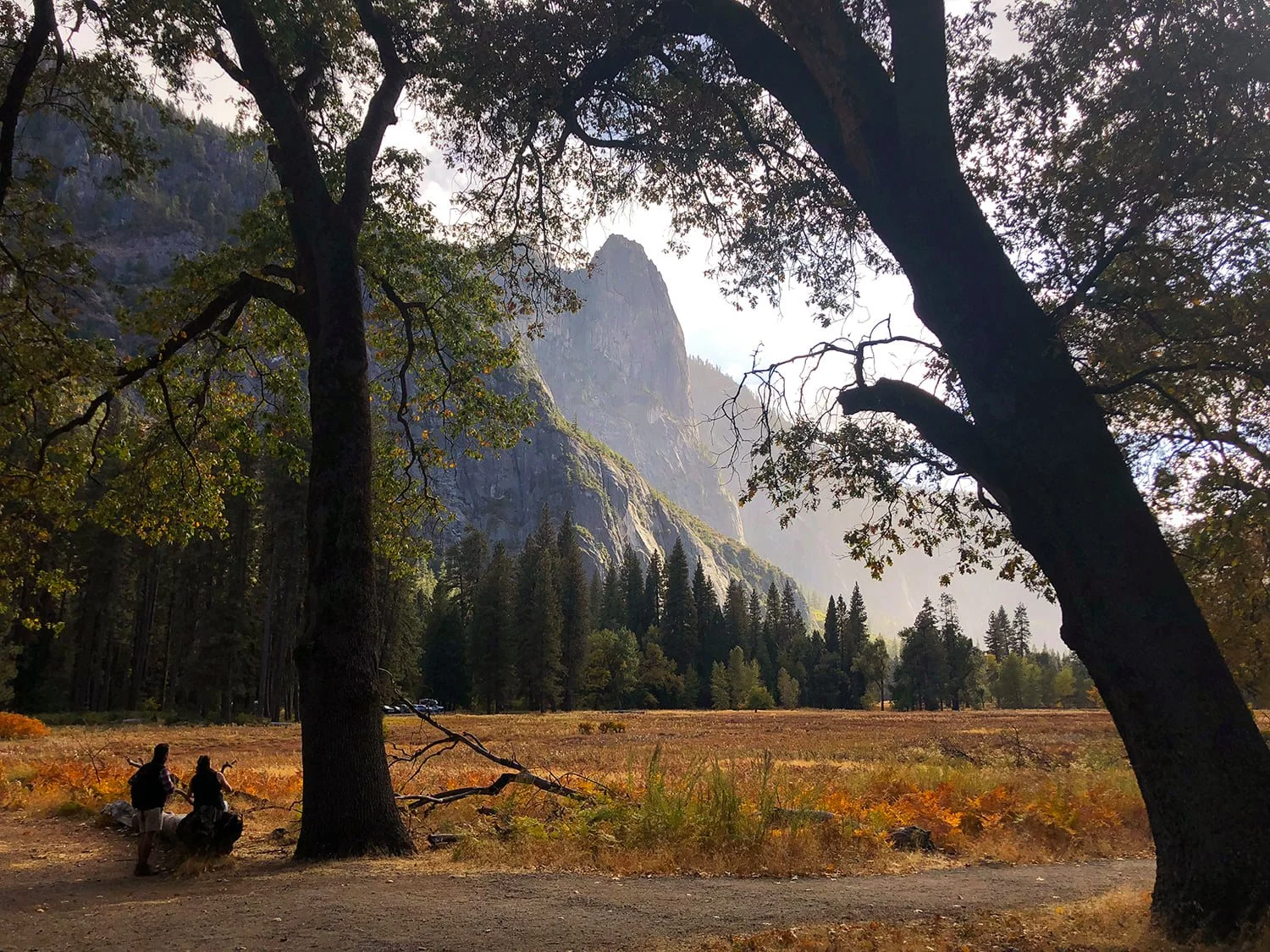 Free National Park Day July 3-5 – No Entry Fee at the store