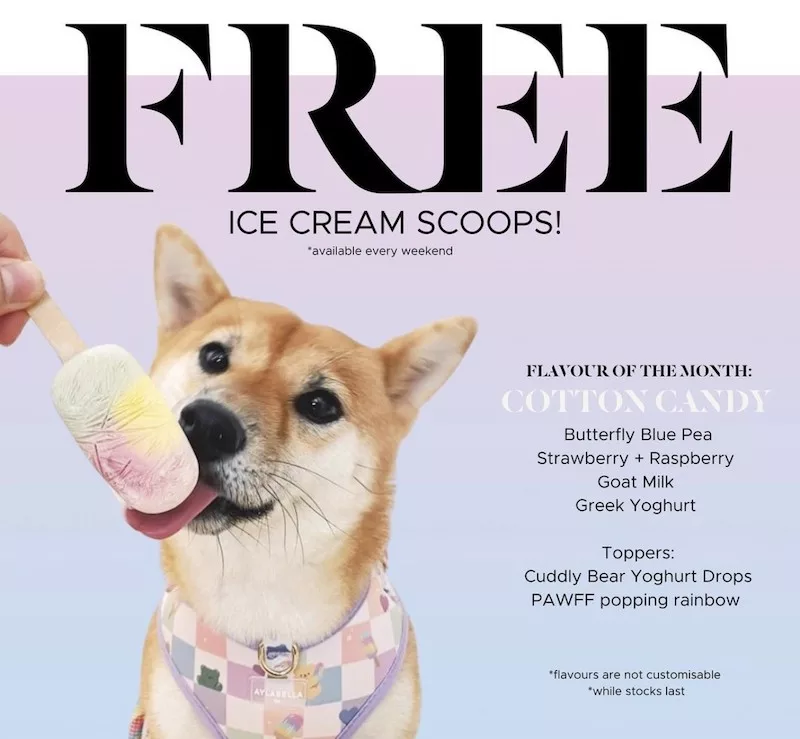 Free Ice Cream Scoop for Dogs at Petco – Grab Yours July 19