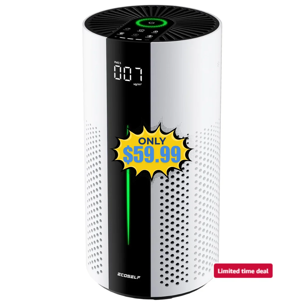 ECOSELF Air Purifiers Deal: Save 70% on Amazon