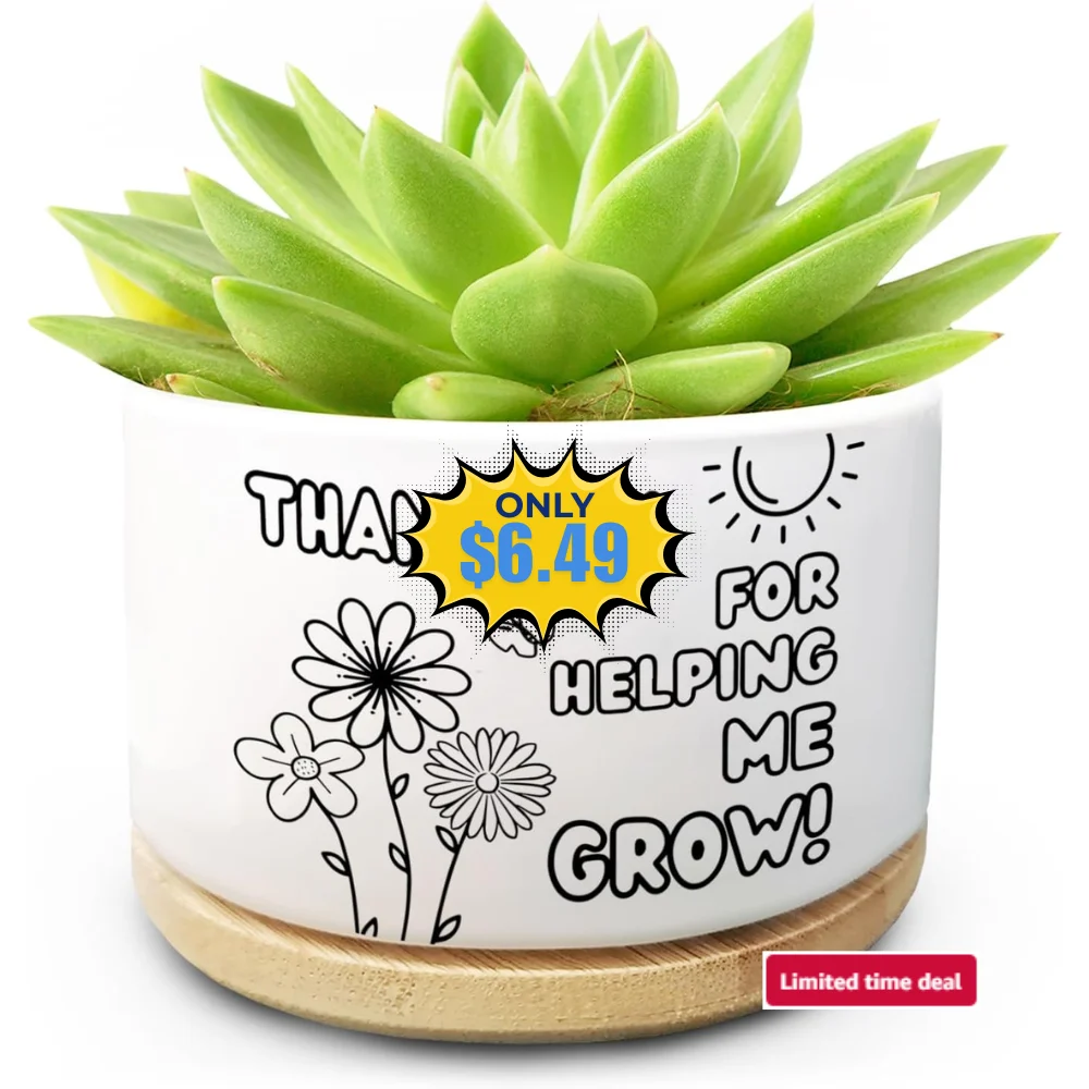 Ceramic Succulent Plant Pot Deal: Save 50% at Amazon
