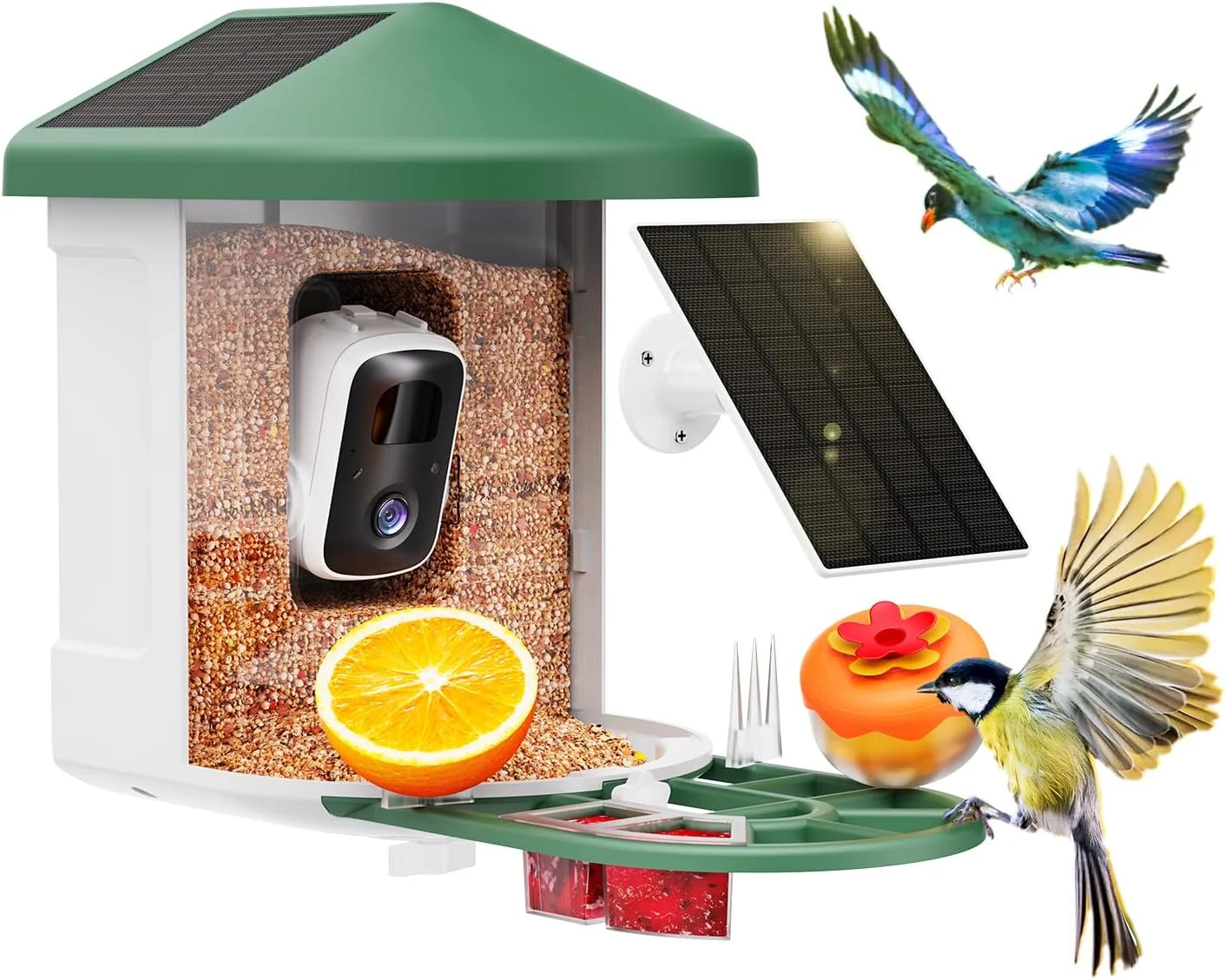 Solar Powered Hummingbird Camera Only $89.97 (Reg. $119.99) at Amazon