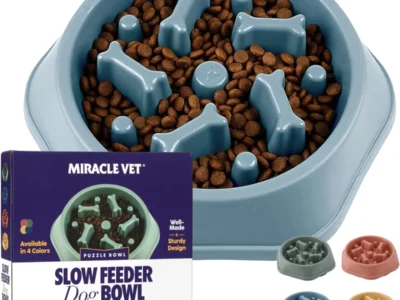 Slow-Feeder-Dog-Bowls