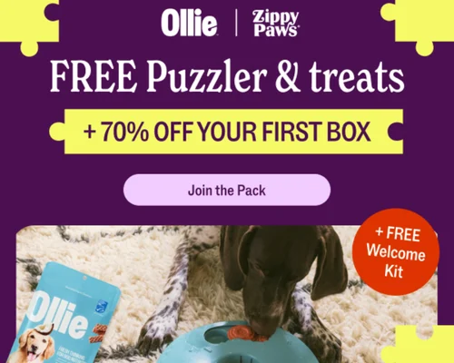 Ollie Dog Food Deal: 70% Off + Free Gifts + $60