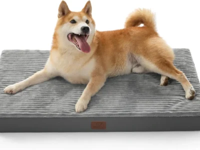 Orthopedic Dog Bed Only $17.xx (Reg. $30) at Amazon