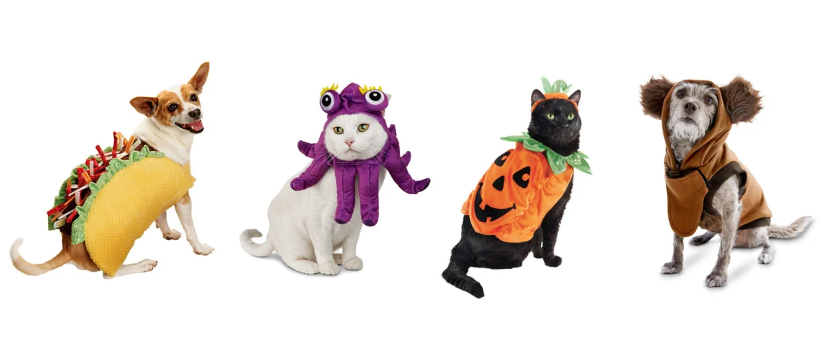 Pet Halloween Costumes Up to 20% Off at Petco
