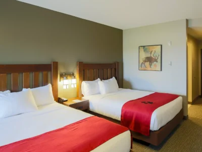 Great Wolf Lodge Flash Sale at Groupon: Stay for $20 per Person, per Night