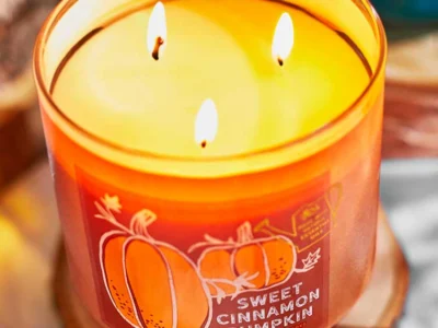Sweet Cinnamon Pumpkin 3 Wick Candle
