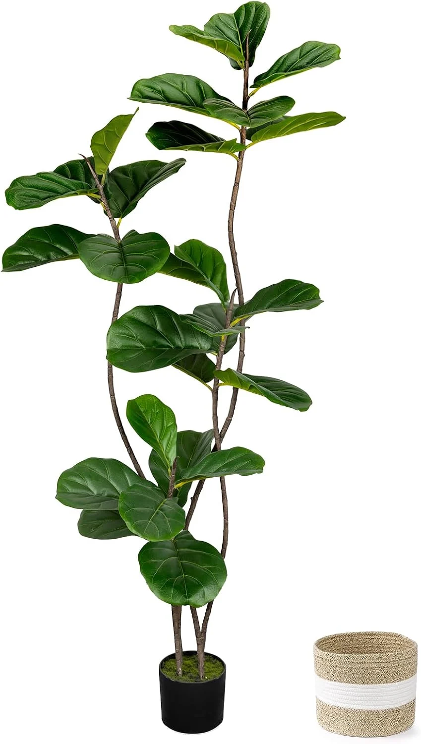 Fiddle Leaf Fig Tree Only $49.xx (Reg. $80) at Amazon