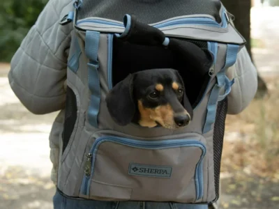 Quirky Trek 2-in-1 Backpack and Duffel (Black or Grey) $14.99 + Free Shipping