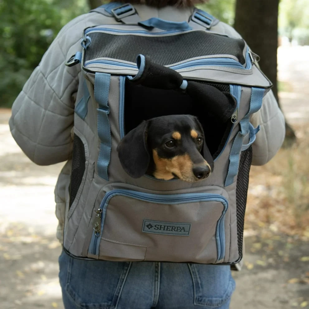 Quirky Trek 2-in-1 Backpack & Duffel Just $14.99 with Free Shipping