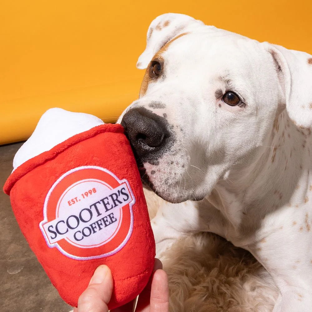 Free Scooter’s Coffee Pup Cup at Scooterscoffee