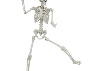 5-Foot Halloween Skeleton Only $24.97 (Reg. $39.99) at Walmart
