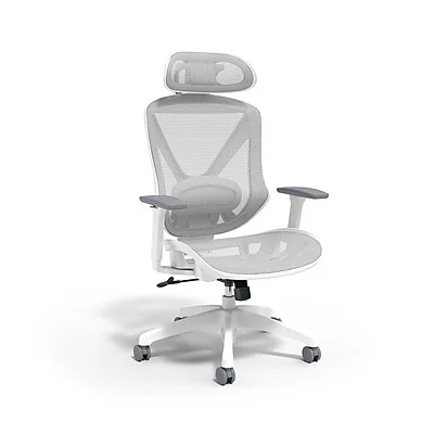 Dexley Ergonomic Mesh Chair Just $150 Shipped at Staples