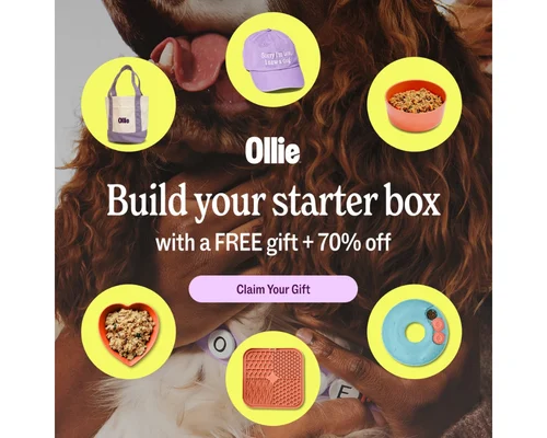 Ollie Promo: 70% Off Deal