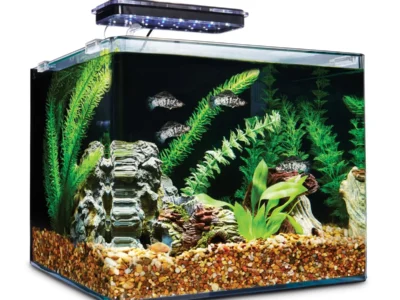 50% Off Fish Tanks at Petco (from $15)