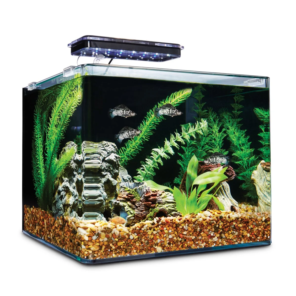 Fish Tanks Only $15 (50% Off) at Petco