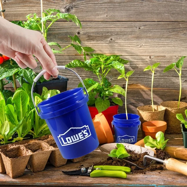 Mini Bucket Only $0.97 at Walmart – Tiny Storage Solution for Less