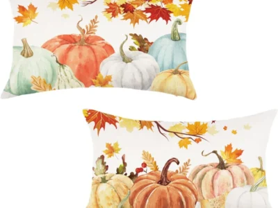 Fall Pumpkins Pillow Covers Only $3.xx (Reg. $8) at Amazon