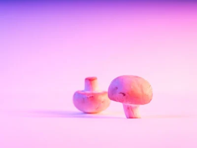 Mushroom Jumbo Mood Light Only $7.50 at Walmart