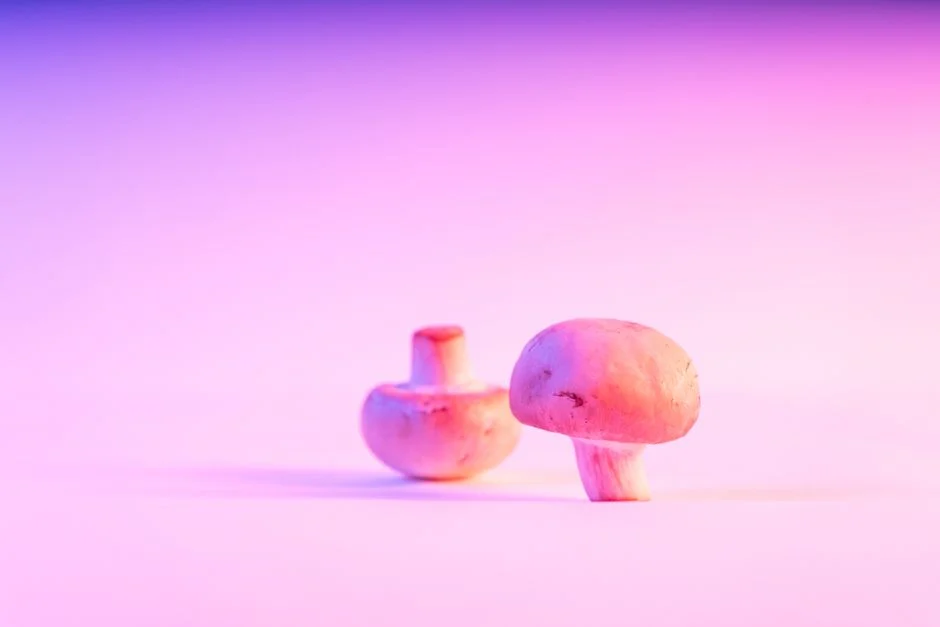 Mushroom Jumbo Mood Light Only $7.50 at Walmart