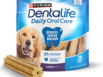 Select Accounts: 18-Ct Purina DentaLife Daily Oral Care Dog Sticks (Large Chews) $3.xx w/ S&S