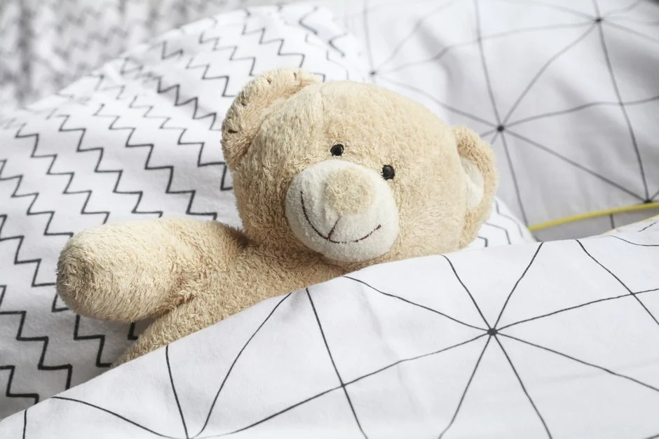 Kids Printed Comforter Set Only $40.79 (Reg. $80) at Top Store
