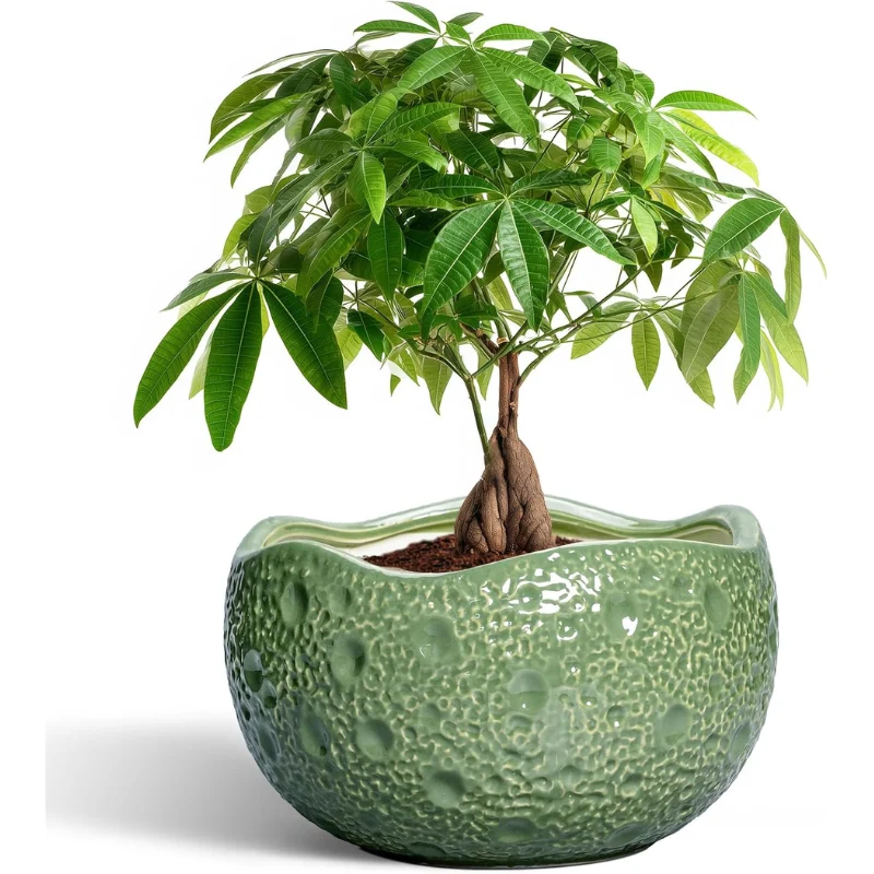 10 Inch Ceramic Plant Pot Deal: Save $15.xx at Amazon