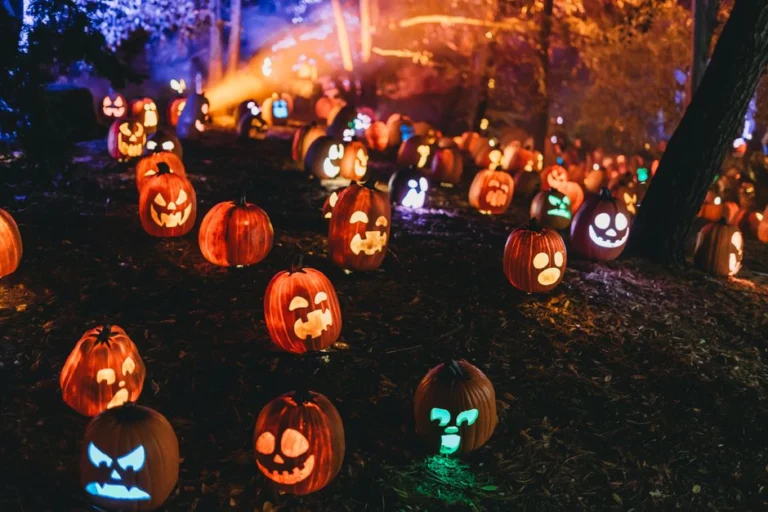 31 Nights of Halloween Schedule Free Viewing at Freeform