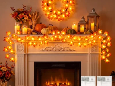 2 Pack Halloween String Lights with Maple Leaves $4.xx