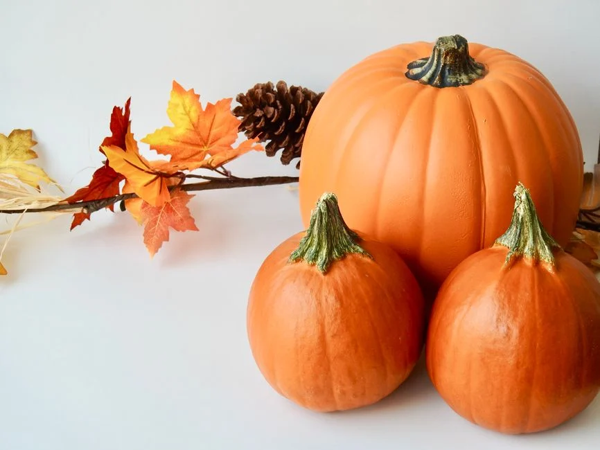 Up to 75% Off Fall & Halloween Decor at Creatorlink