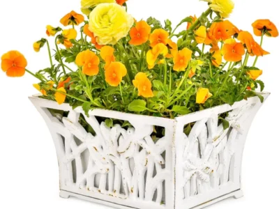 Cast Iron Plant Basket Only $39.xx (Reg. $80) at Amazon