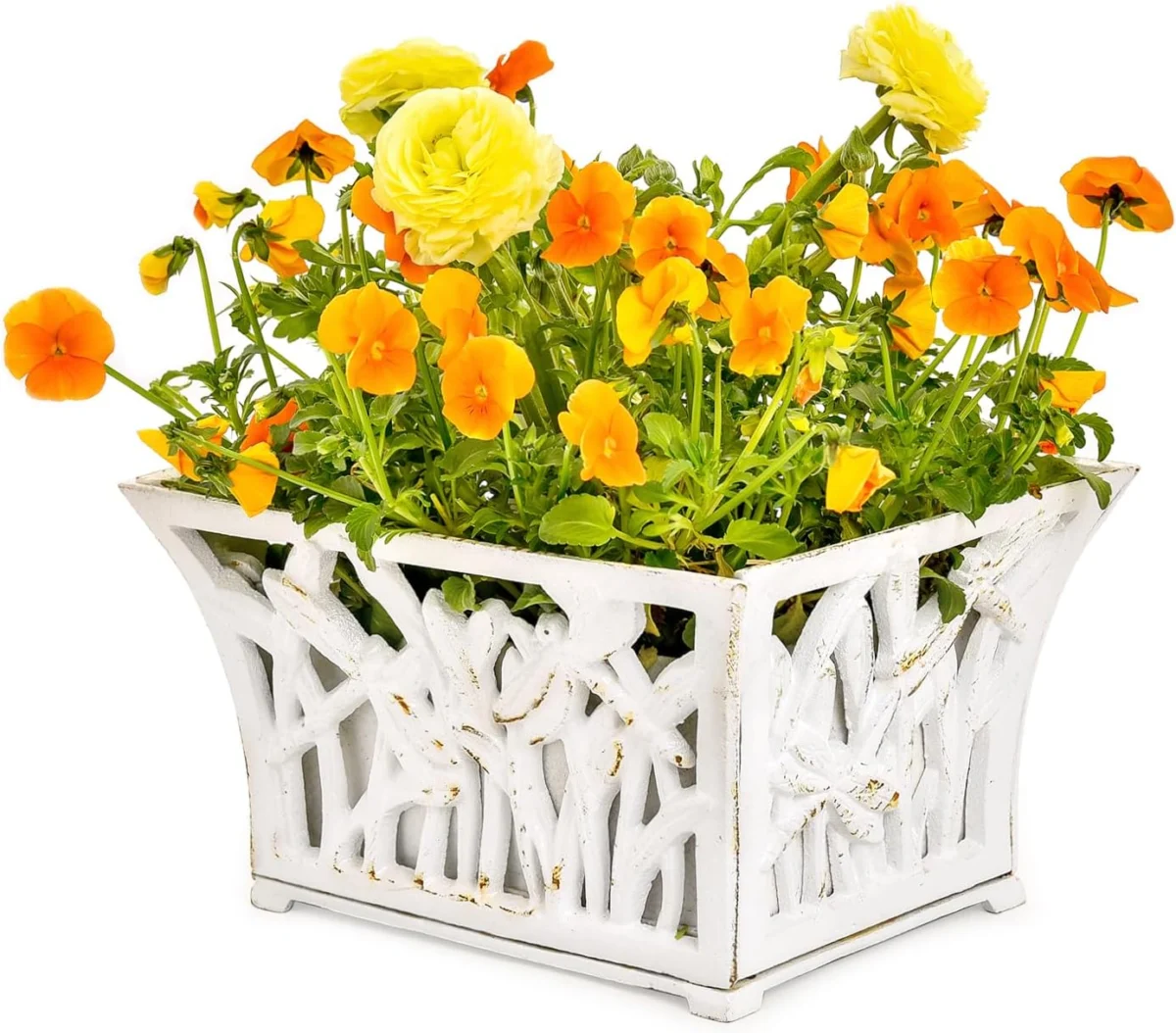 Cast Iron Plant Basket Only $39.xx (Reg. $80) at Amazon