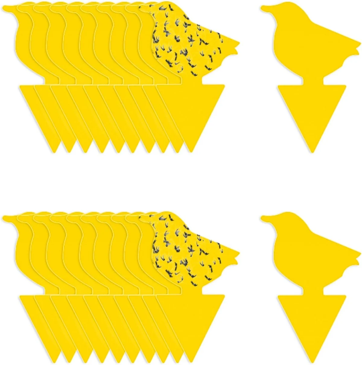 Carbelina Sticky Gnat Traps Only $6.xx (Reg. $10) at Amazon