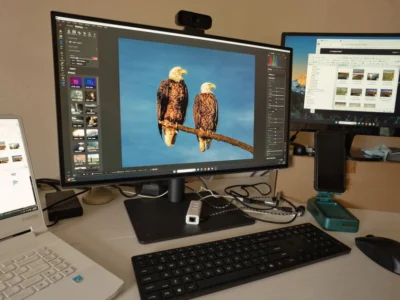 LG 32″ Ultrafine 4K Monitor Only $249.99 Free Shipping at Costco